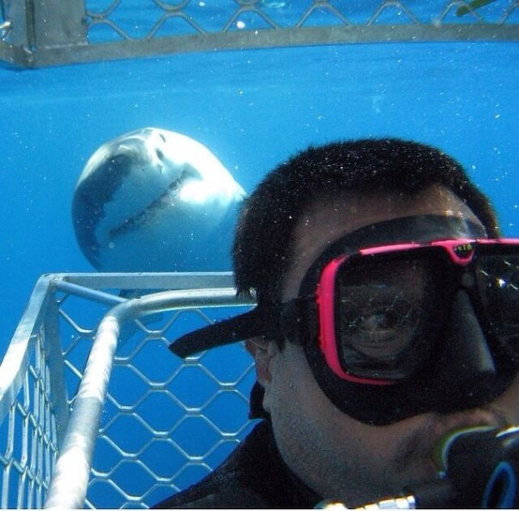 Foto Hewan di Belakang Orang yang Bikin Salah Fokus, Ngakak Abis! Photo bomb alias objek yang salah bikin fokus ini sukses buat foto keren berubah jadi kocak. Intip kelucuannya di sini.
