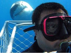 Foto Hewan di Belakang Orang yang Bikin Salah Fokus, Ngakak Abis!