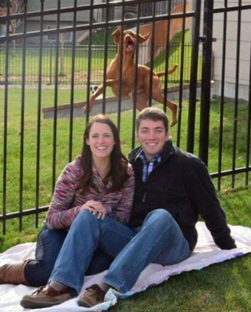 Photo bomb alias objek yang salah bikin fokus ini sukses buat foto keren berubah jadi kocak. Intip kelucuannya di sini.