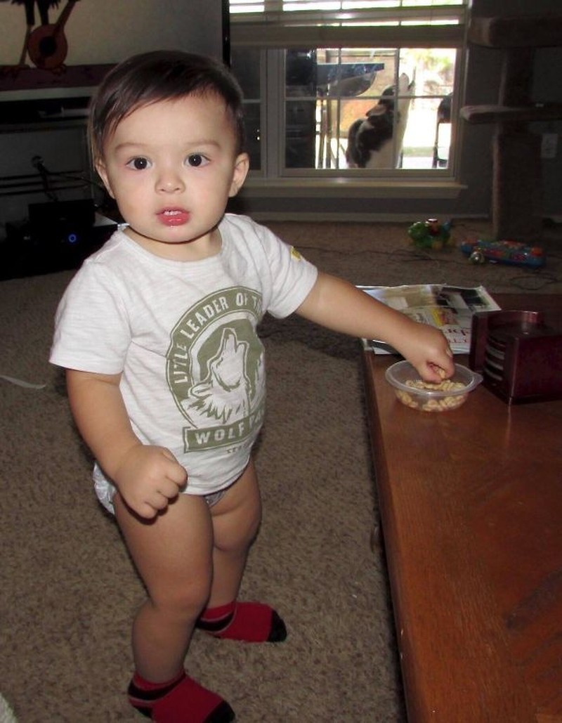 Photo bomb alias objek yang salah bikin fokus ini sukses buat foto keren berubah jadi kocak. Intip kelucuannya di sini.