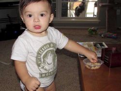 Foto Hewan di Belakang Orang yang Bikin Salah Fokus, Ngakak Abis!