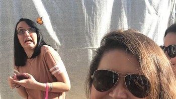 Serangan kupu-kupu! Foto: Bigforsumthin via Bored Panda