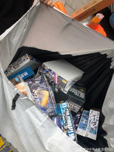 Gundam Wanita menyelamatkan mainan suami dari banjir.