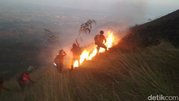 gunung penanggungan terbakar