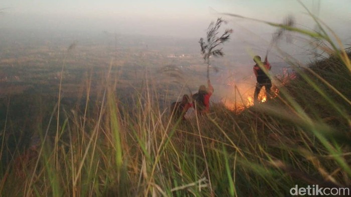 gunung penanggungan terbakar