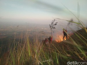 Gunung Penanggungan Terbakar, Jalur Pendakian Ditutup Sementara
