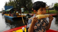 Dilansir dari AP, kembali beroperasinya taman apung Xochimilco disambut baik oleh para penjual makanan serta pendayung gondola yang bekerja di kawasan objek wisata tersebut. Pasalnya dengan kembali dibukanya tempat tersebut mereka dapat kembali mengumpulkan pundi-pundi uang untuk memenuhi kebutuhan hidup di tengah pandemi virus Corona.