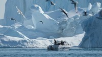 Laporan media baru-baru ini menyatakan bahwa Greenland mungkin telah melewati titik tidak bisa kembali, bahwa tingkat pemanasan global yang sudah dilakukan dunia karena emisi karbon, berarti bahwa semua Greenland akan mencair. Sean Gallup/Getty Images  