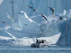 Gawat! Greenland Makin Hijau, Ancaman Besar Mengintai