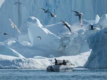 Es Cair Makin Cepat di Greenland - Melambat di Antartika, Kok Bisa?