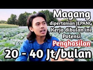 Magang Jadi Petani di Jepang, Pria Ini Kantongi Rp 20-40 Juta Sebulan