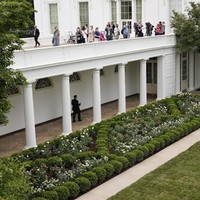 Proyek renovasi ini menjadi yang pertama sejak taman tersebut dibuat 60 tahun lalu atas inisiasi Presiden ke-35 AS John F. Kennedy. Istrinya, Jacqueline Kennedy, dan desainer lanskap Rachel Lambert Mellon, yang merancang taman tersebut. (Foto: AP Photo/Susan Walsh)