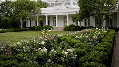 Foto Before-After Taman Gedung Putih Buatan Melania Trump, Netizen Nyinyir