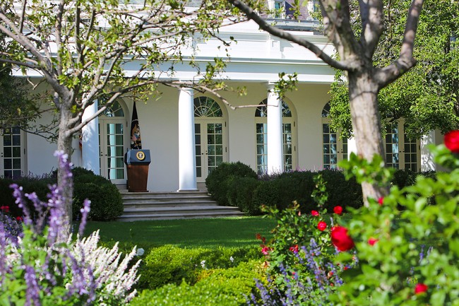 Trump seperti mengambil kotak pos dari kantor pos, mawar dari taman mawar, lalu united (kesatuan) dari United States, nyinyir netizen lainnya. Ada pula yang berkomentar, Jika kamu tidak suka apa yang Melania Trump lakukan di Rose Garden, tunggu sampai mereka perbuat terhadap Konstitusi.(Foto: Getty Images/iStockphoto/TriggerPhoto)