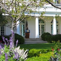 Trump seperti mengambil kotak pos dari kantor pos, mawar dari taman mawar, lalu united (kesatuan) dari United States, nyinyir netizen lainnya. Ada pula yang berkomentar, Jika kamu tidak suka apa yang Melania Trump lakukan di Rose Garden, tunggu sampai mereka perbuat terhadap Konstitusi.(Foto: Getty Images/iStockphoto/TriggerPhoto)