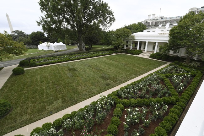 Inilah wajah baru Rose Garden di Gedung Putih setelah melalui renovasi selama tiga minggu. Ibu Negara AS Melania Trump yang mendesain taman tersebut memperkenalkannya kepada media akhir pekan lalu. (Foto: AP Photo/Susan Walsh)