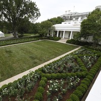 Inilah wajah baru Rose Garden di Gedung Putih setelah melalui renovasi selama tiga minggu. Ibu Negara AS Melania Trump yang mendesain taman tersebut memperkenalkannya kepada media akhir pekan lalu. (Foto: AP Photo/Susan Walsh)