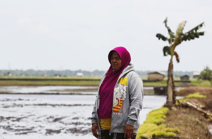 Kementan