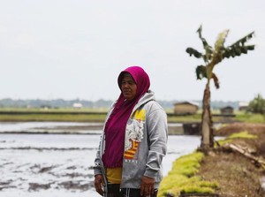 Cerita Petani di Bangka Selatan, Semangat Meski Hama Tikus Menyerang
