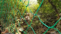 Prosesinya, di lokasi pelepasliaran terdapat beberapa jaring terutama di depan kandang macan membentuk jalur langsung ke hutan. Pintu kandang kemudian ditarik dari kejauhan berjarak sekitar 20 meter. 