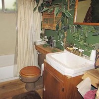 Konsep kamar mandi dari rumah ini sangatlah unik, membuatmu merasa seperti sedang berada di dalam hutan bukan? Foto: dok. Zillow