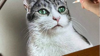 Bakatnya ini sudah dimilikinya sejak kecil di mana usia 9 tahun ia mencoba untuk melukis Monalisa karya Leonardo Da Vinci. Foto: Instagram/marcellobarenghi