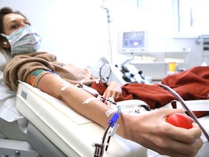 Terapi Plasma Disebut Tak Efektif Tekan Kematian COVID-19, Ini Hasil Studinya
