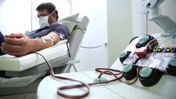 Jakarta - Badan Pengawas Obat dan Makanan AS (FDA) telah memberikan izin darurat untuk mengobati pasien COVID-19 dengan plasma darah.