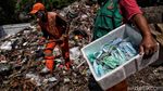 Melihat Aktivitas Petugas Memilah Limbah Medis di Ibu Kota