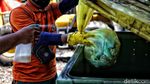 Melihat Aktivitas Petugas Memilah Limbah Medis di Ibu Kota
