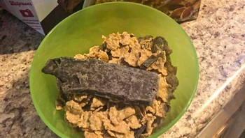 Cokelat yang sangat besar ini, sayang tuangkan dalam mangkul cereal yang spesial Foto: Brightside