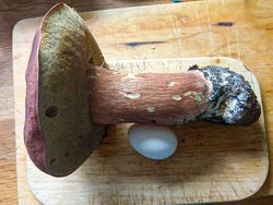 Kumpulan Foto Unik, Benda Biasa Berukuran Raksasa