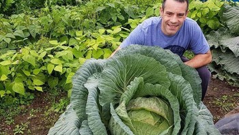 Saya telah diminta untuk berbagi kubis seberat 67 kg dengan kalian Foto: Brightside