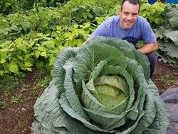 Kumpulan Foto Unik, Benda Biasa Berukuran Raksasa