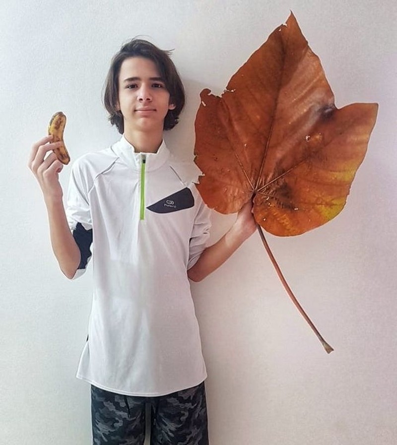 fotoinet unik benda biasa raksasa