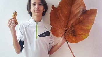 Bandingan daun raksasa yang kutemukan di taman dnegan pisang, dan dengan diriku sendiri Foto: Brightside