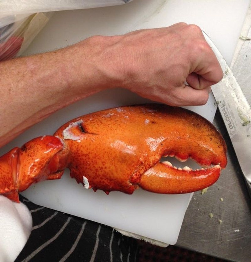 fotoinet unik benda biasa raksasa