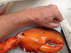 Kumpulan Foto Unik, Benda Biasa Berukuran Raksasa