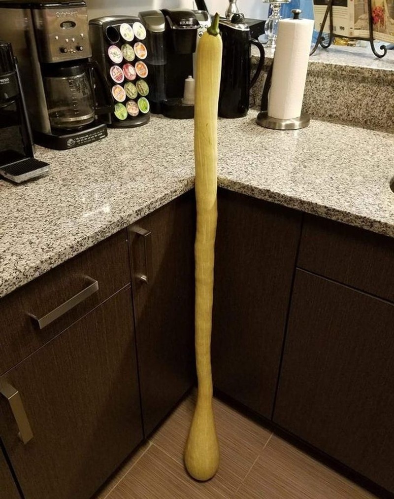 fotoinet unik benda biasa raksasa