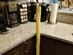 Kumpulan Foto Unik, Benda Biasa Berukuran Raksasa