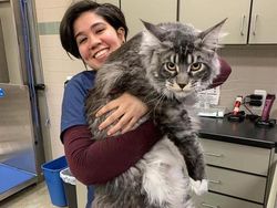 Kumpulan Foto Unik, Benda Biasa Berukuran Raksasa