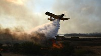 Sebuah pesawat menjatuhkan air di atas kebakaran lahan basah di Rute Nasional 174, Rosario, Argentina, Senin (24/8/2020) waktu setempat.  