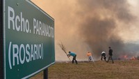 Penduduk setempat mencoba memadamkan kebakaran lahan basah yang sudah berlangsung berhari-hari tersebut.  