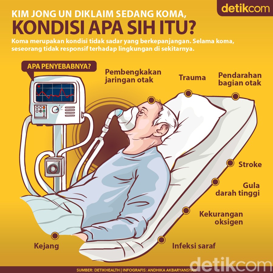 koma infografis koma