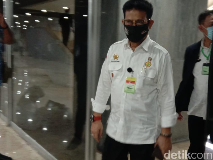 Mentan pakai kalung antivirus Corona saat rapat di DPR (Anisa Indraini/detikfinance)