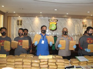Polres Jakbar Sita 157 Kg Ganja dari Jaringan di Solok Sumbar