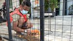 Puluhan Orang Tak Bermasker Dihukum Nyapu Jalanan