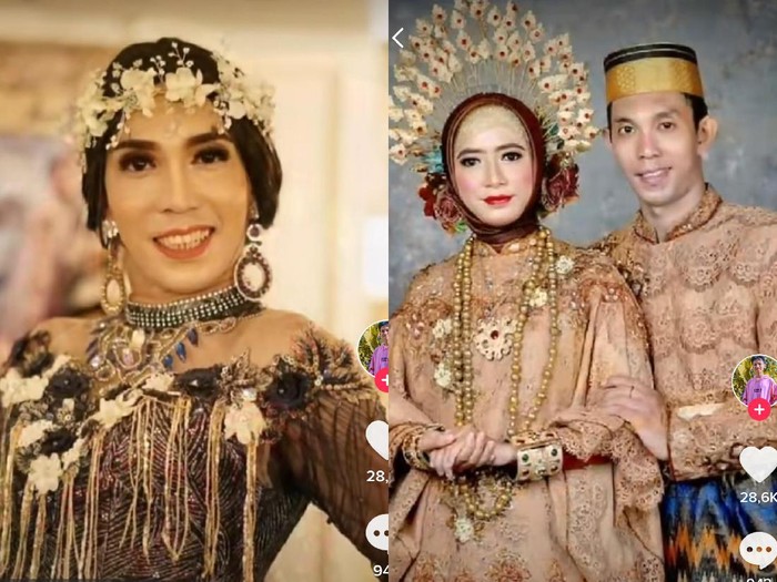 tiktok Ardi