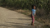 Salah satunya Maria (7), ia akhirnya memilih membantu orang tua bekerja di perkebunan kopi setempat.  
