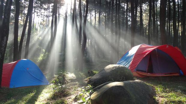 Camping ground Gunung Pancar